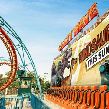 Mactac JT-8500 WM-PG 1.05 x 50m.