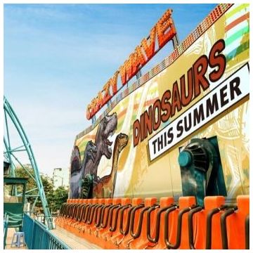 Mactac LF 8500 CM - 1.37x50m.