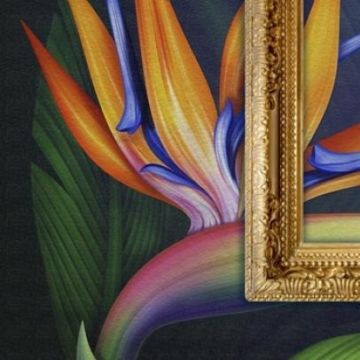 Mactac WW Canvas - 1.37x30m.